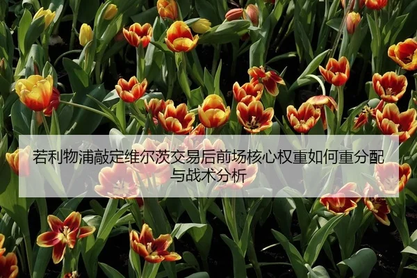 若利物浦敲定维尔茨交易后前场核心权重如何重分配与战术分析